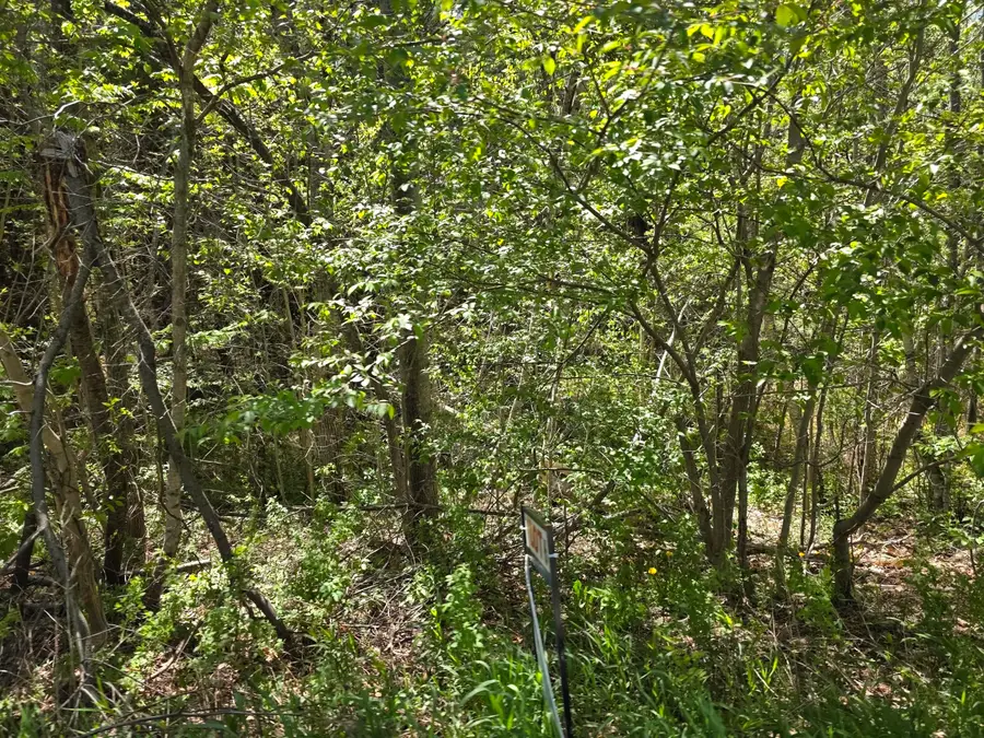 6 Goose River Estates, Swanville, ME 04915 - #3