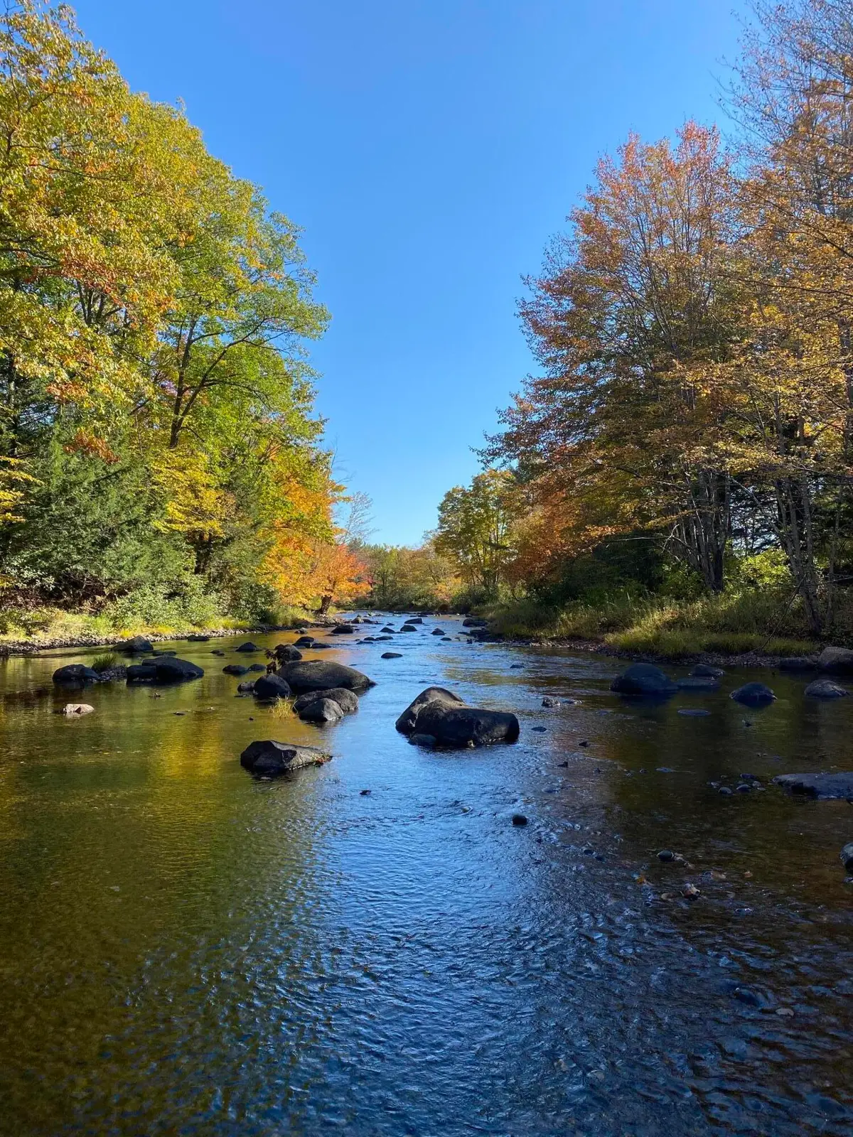 0 Poppy Lane, Carthage, ME 04224 - #1