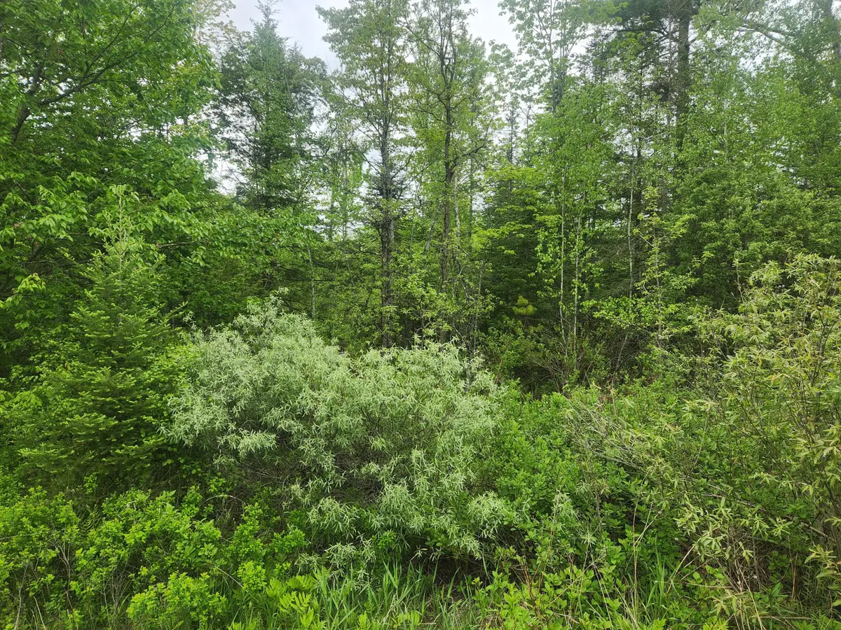 M5-L25-13 Union Street, Levant, ME 04456 - #1