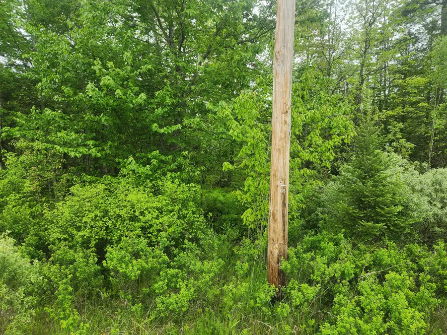 M5-L25-13 Union Street, Levant, ME 04456 - #3