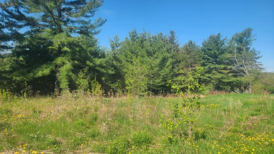58 Pondview Street, Limestone, ME 04750 - #3