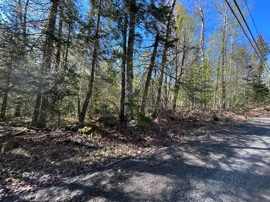 M8/L17A Bald Mt Road, Oquossoc, ME 04964 - #2