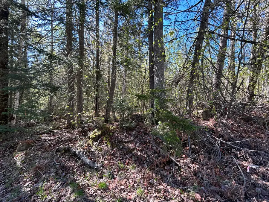 M8/L17A Bald Mt Road, Oquossoc, ME 04964 - #3