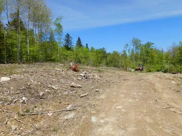 98 Davis Road, Alexander, ME 04694
