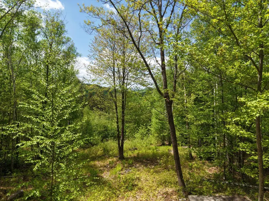 21 Jewett Way, Hanover, ME 04237 - #2