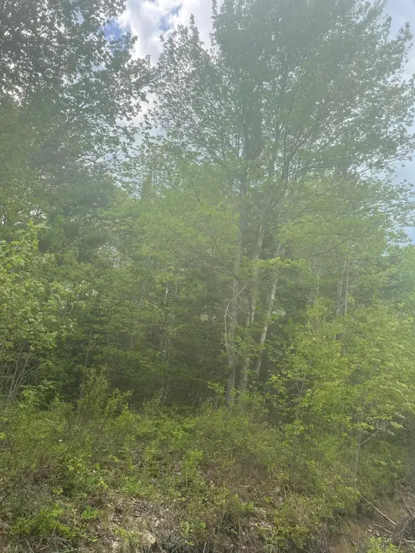 1 Morse District Road N, Steuben, ME 04680