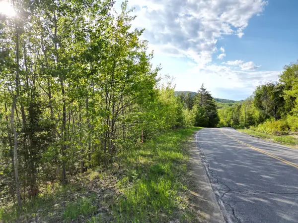 Lot 41-1 Bottle Lake Road, Lakeville, ME 04487