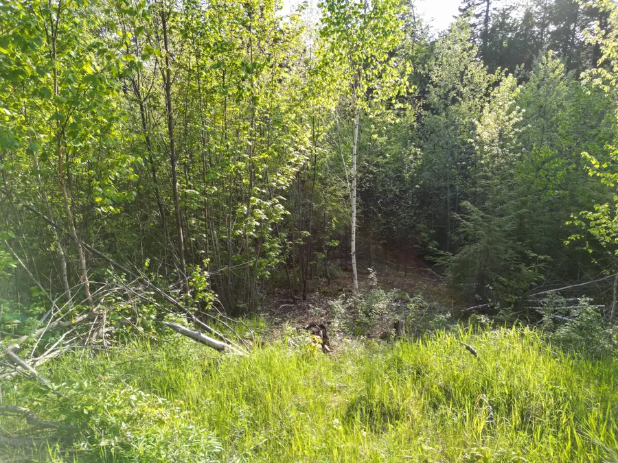 Lot 41-1 Bottle Lake Road, Lakeville, ME 04487 - #3
