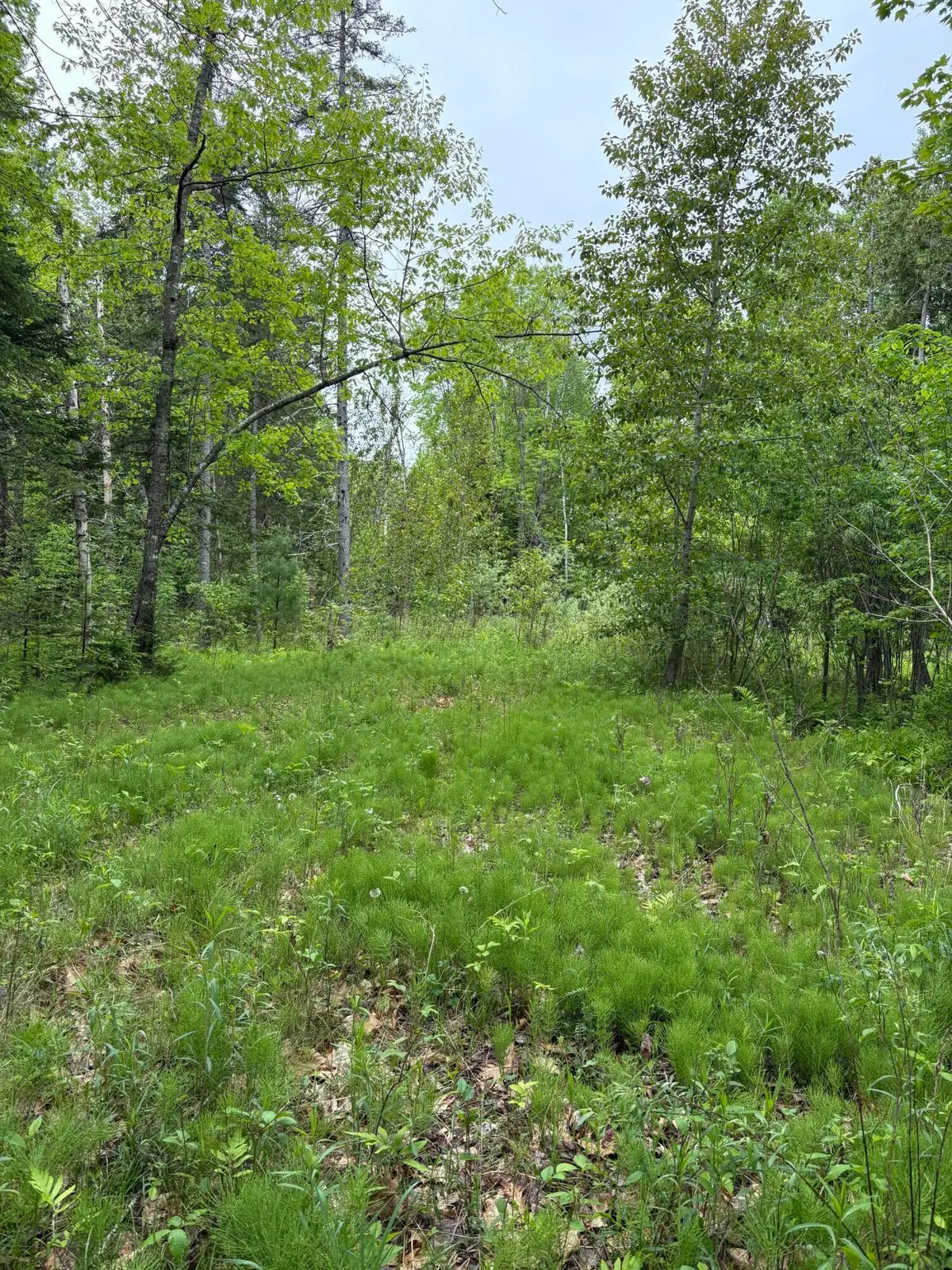TBD Fitz Road #001-018, Kenduskeag, ME 04450 - #1