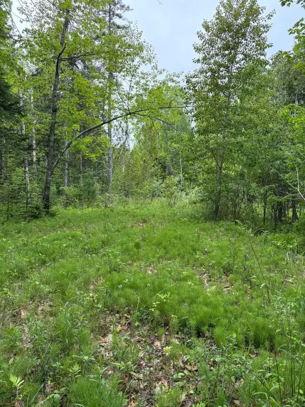 TBD Fitz Road #001-018, Kenduskeag, ME 04450