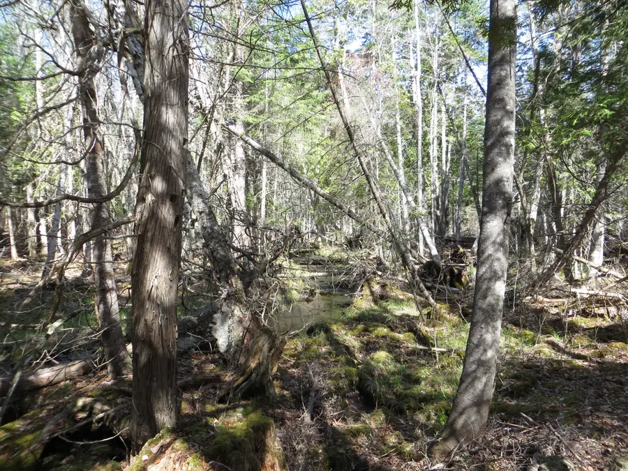 TBD Fitz Road #001-018, Kenduskeag, ME 04450 - #2