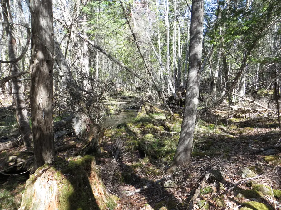 TBD Fitz Road #001-018, Kenduskeag, ME 04450 - #3