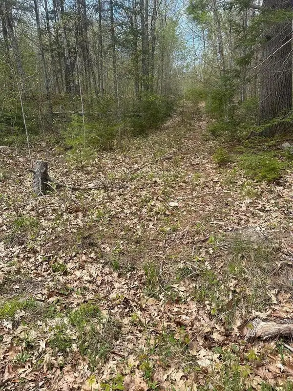 Lot 3 Morse District Road, Steuben, ME 04680