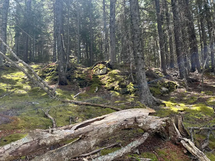 000 Stanley Point Road, Swans Island, ME 04685 - #3