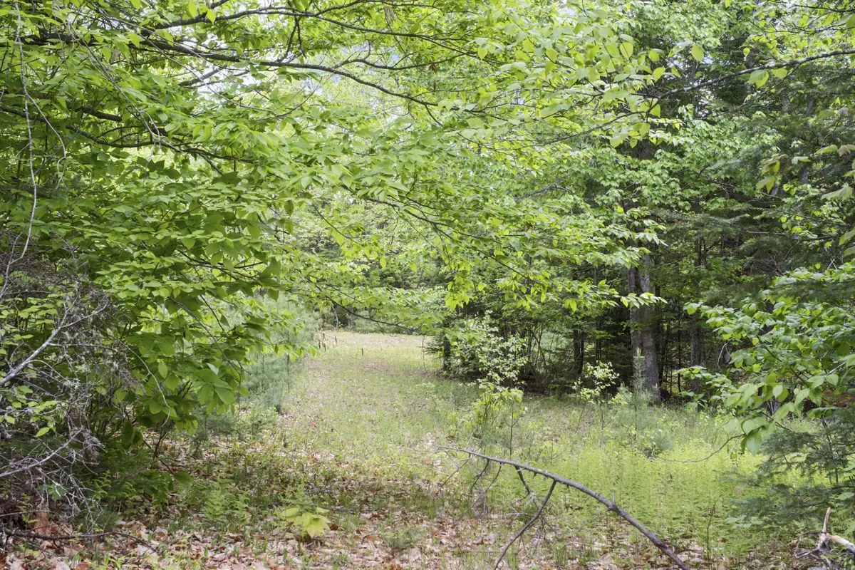 M2 L21-2 S Ridge Road, Palmyra, ME 04965 - #1