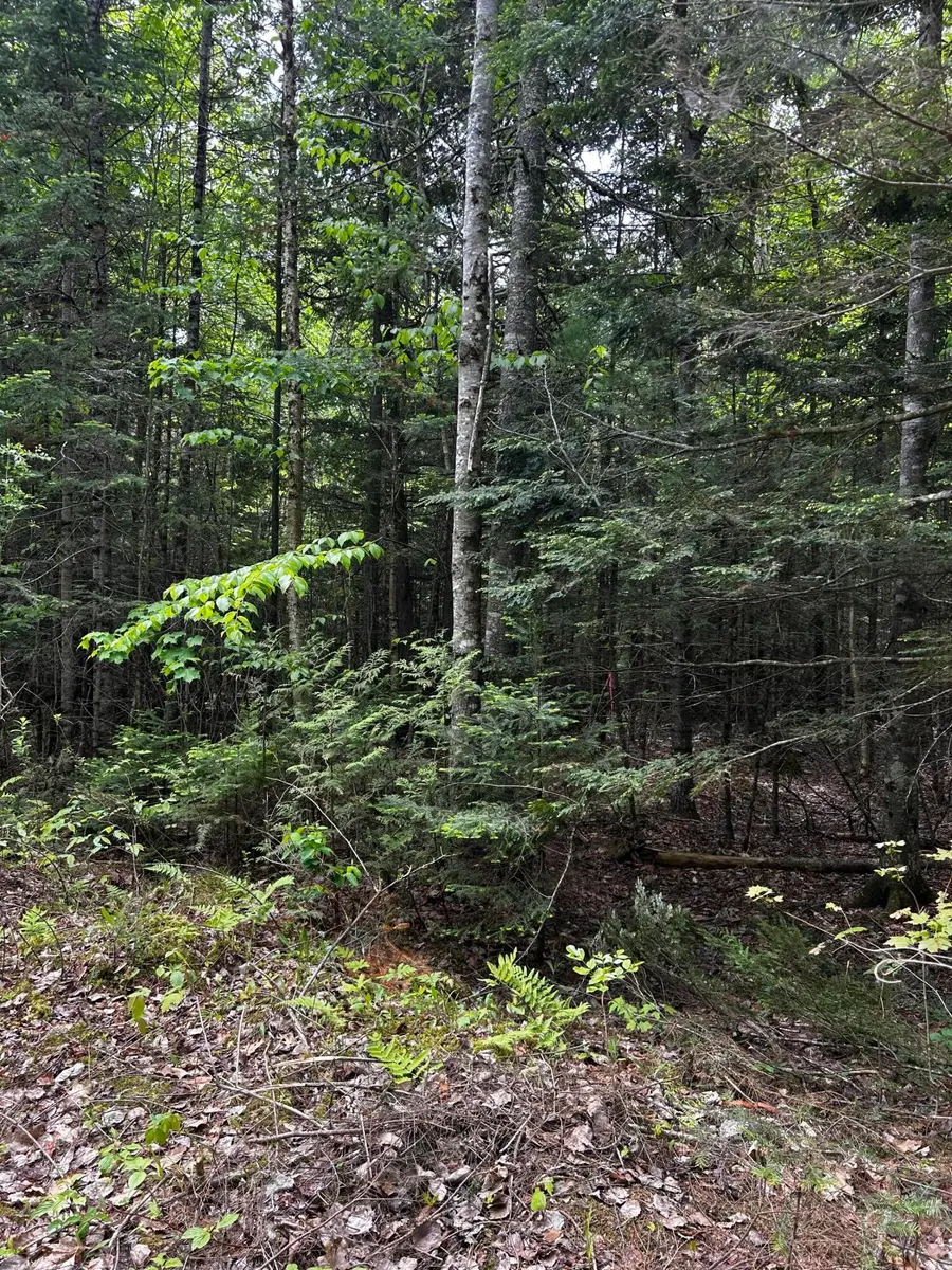 Lot 9-4 Lilly Drive, Newport, ME 04953 - #2