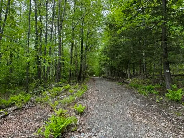 0 Patterson Bridge Road, Madison, ME 04950 - #2