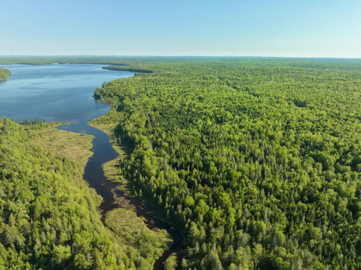 0 Off Dixie Road, South Aroostook, ME 04497 - #1