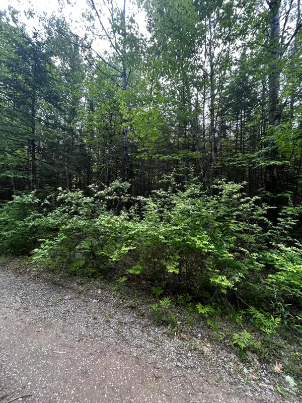 Lot 9-2 Lilly Drive, Newport, ME 04953
