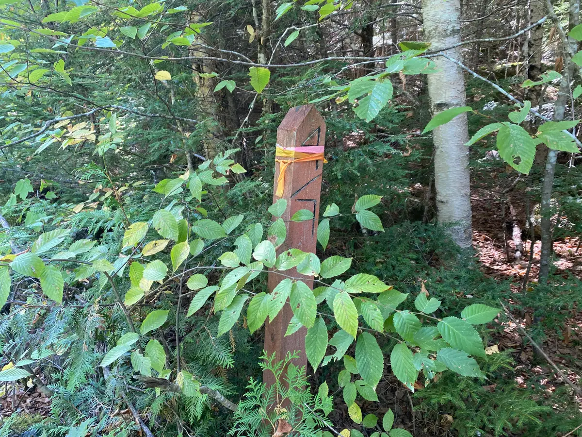 M06-Lot18A Sys Road, Lakeville, ME 04487 - #1