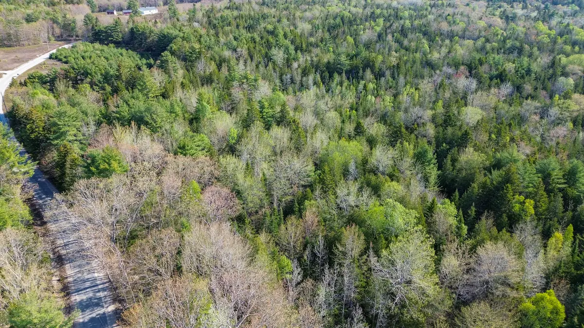 006-019A Punkinville Road, Sullivan, ME 04664 - #1