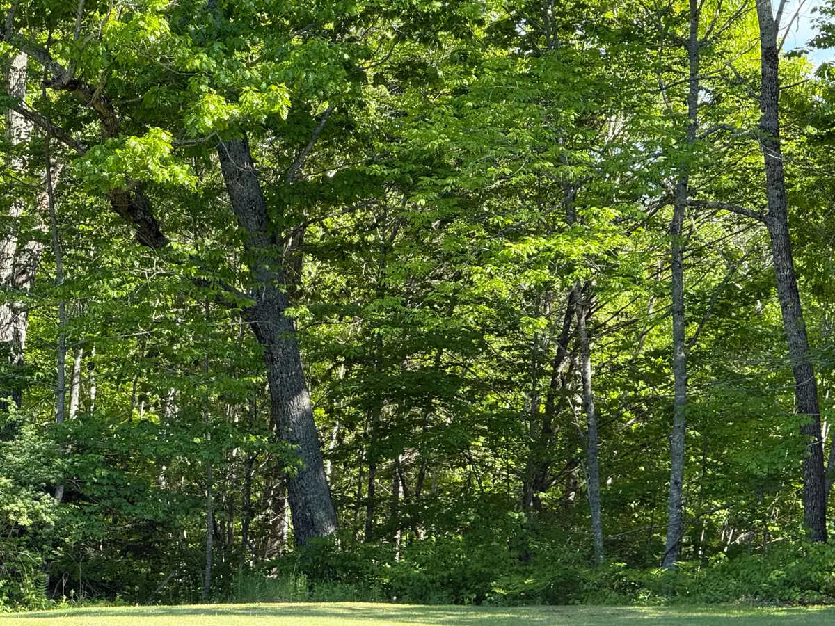M10 L28-C Weeks Mills Road, Windsor, ME 04363 - #1