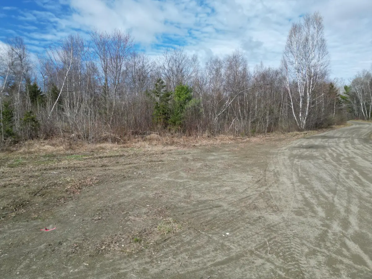 Lot 46I-1 Merriman Road, Island Falls, ME 04747 - #1