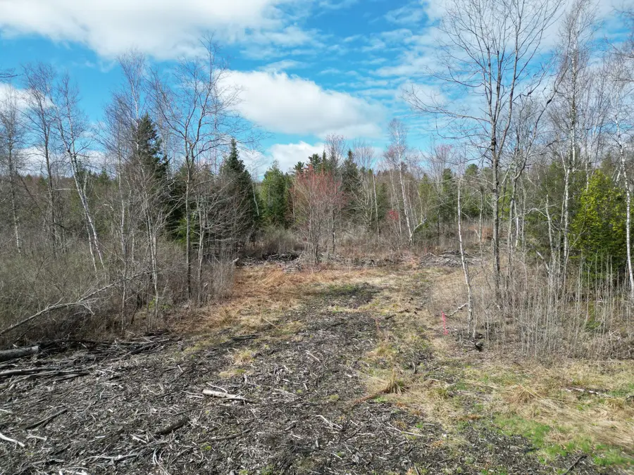 Lot 46I-1 Merriman Road, Island Falls, ME 04747 - #3