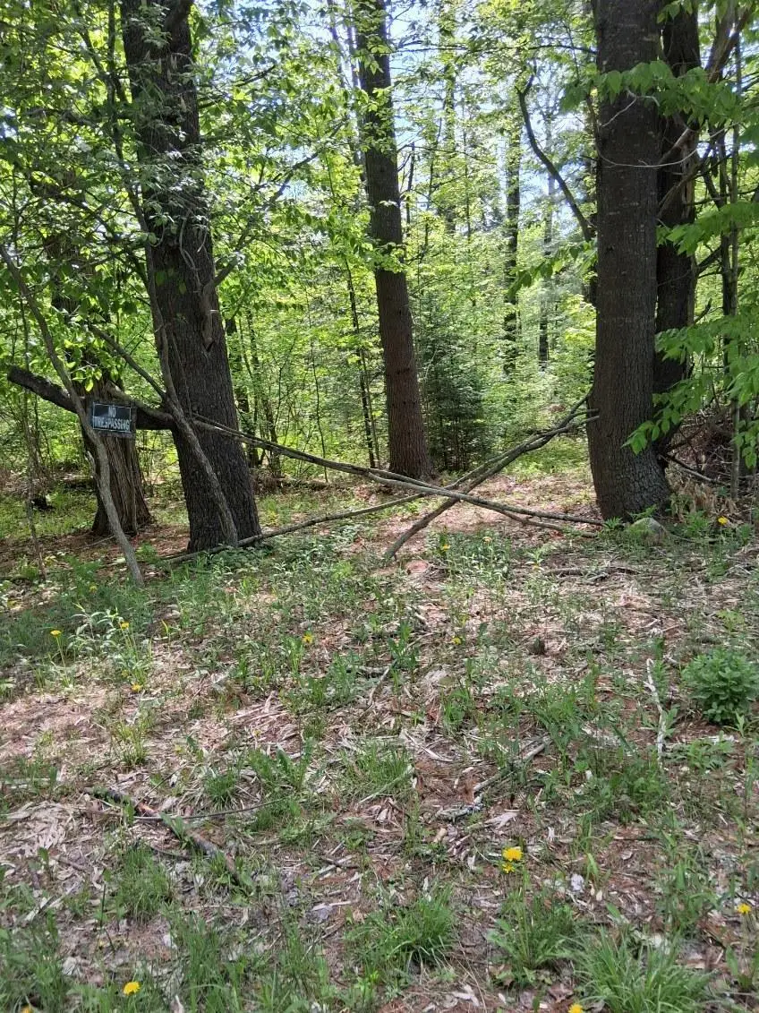 Lot 27-2.1 Jaquith Pond Road, Brownville, ME 04414 - #1