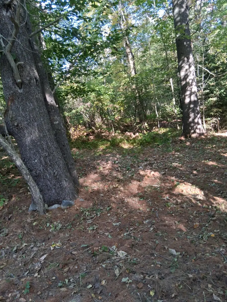Lot 27-2.1 Jaquith Pond Road, Brownville, ME 04414 - #3