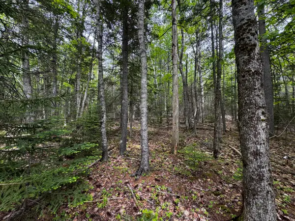 Lot 0 Hadley Point Road, Bar Harbor, ME 04609