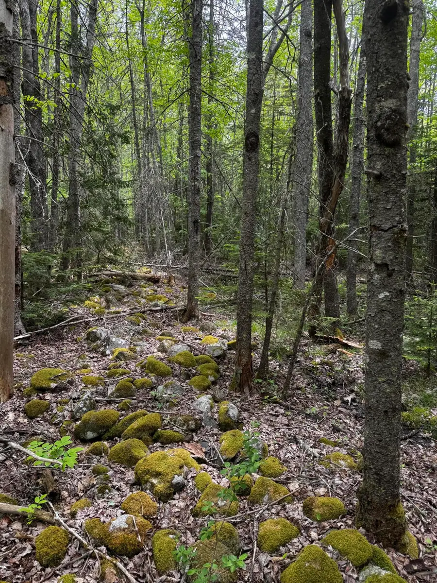 Lot 0 Hadley Point Road, Bar Harbor, ME 04609 - #2