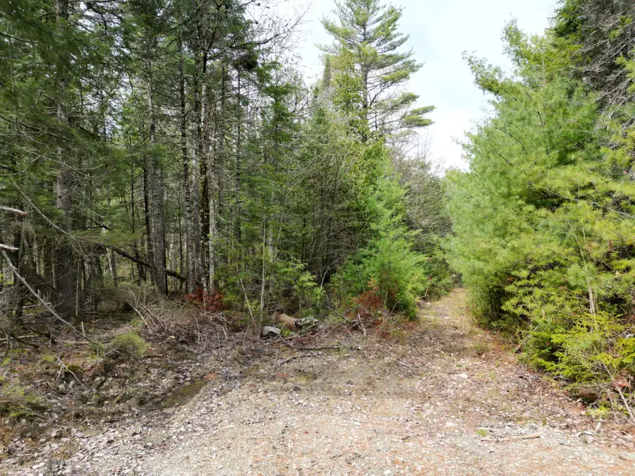 20 Twin Springs Lane, Lincoln, ME 04457 - #3