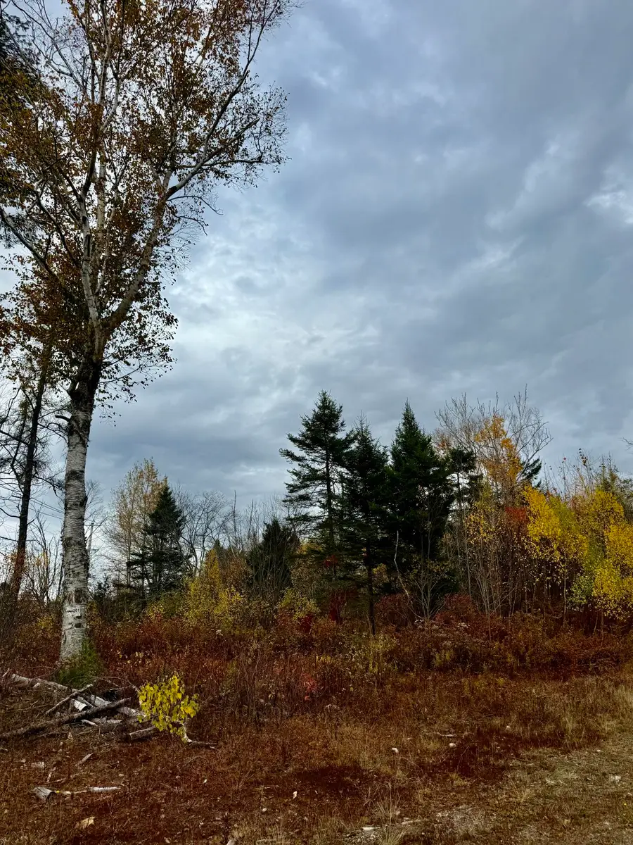 346 Main Street, East Machias, ME 04630 - #2