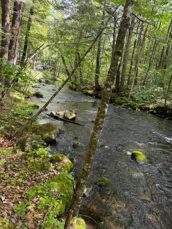 Lot 44 Rolfe Road, Harrison, ME 04040