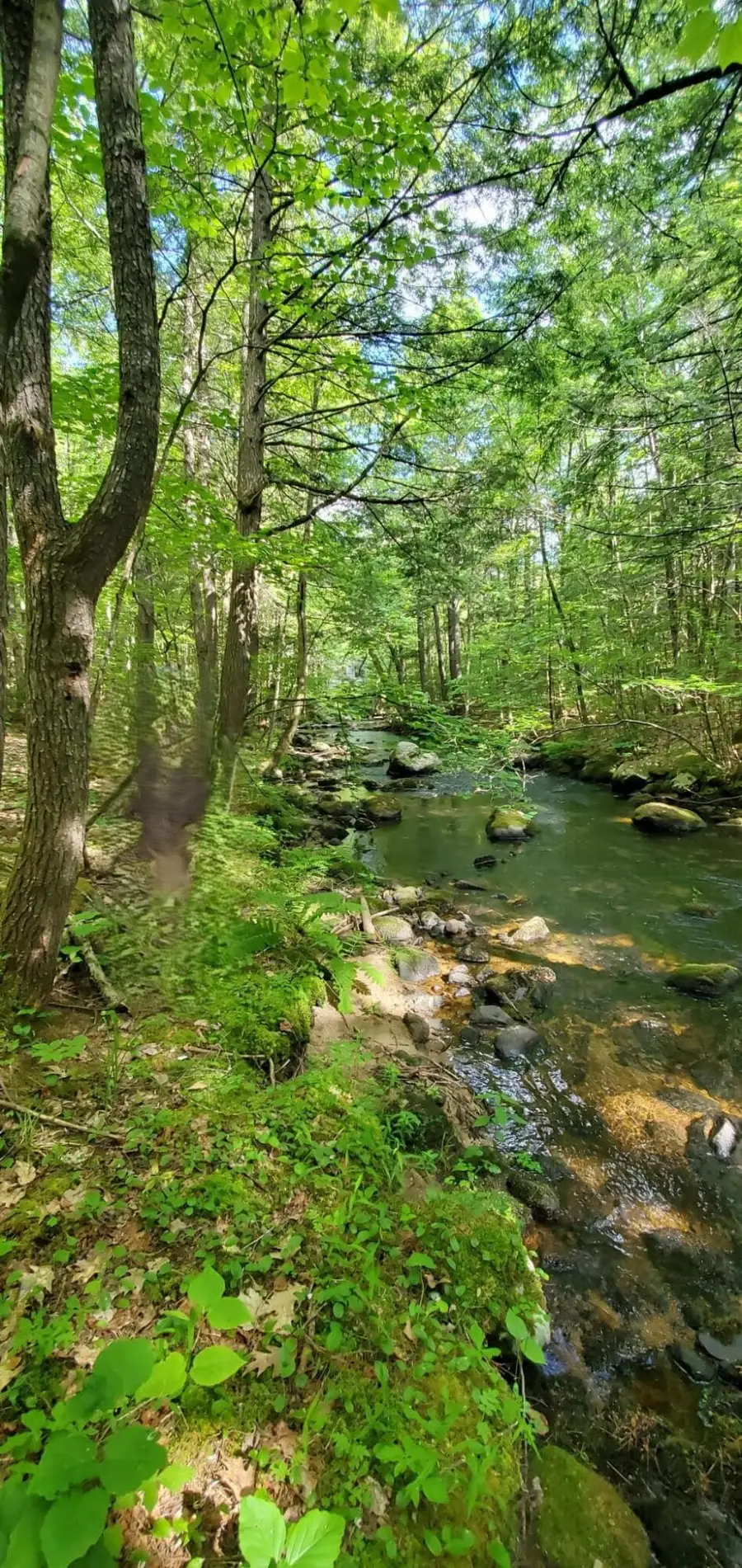 Lot 44 Rolfe Road, Harrison, ME 04040 - #2