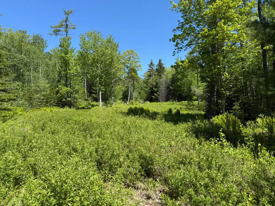 Map 20 Lot 14-10 Iron Tree Street, South Thomaston, ME 04858 - #2