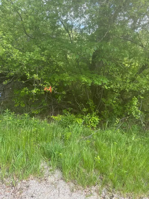 Lot 5 Unionville Road, Steuben, ME 04680