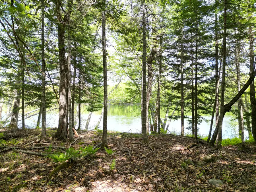 Lot 19-011 West Indian Road, Woodville, ME 04457 - #3