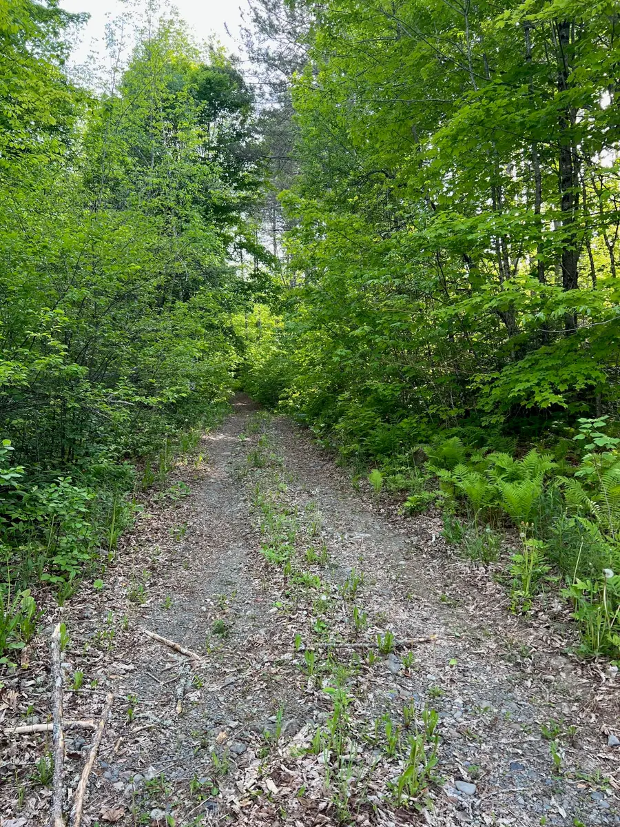 60 Hutchinson Road, Linneus, ME 04730 - #3