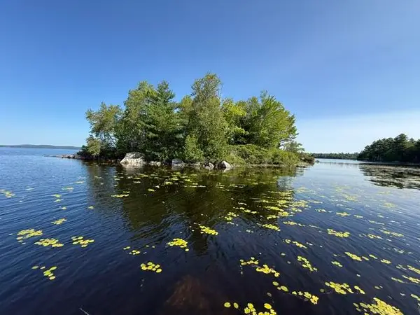 Lot 018 Pike Island, Meddybemps, ME 04657