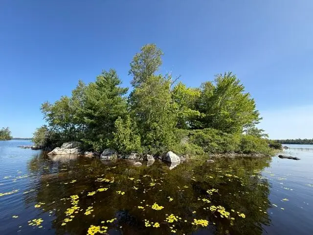 Lot 018 Pike Island, Meddybemps, ME 04657 - #2