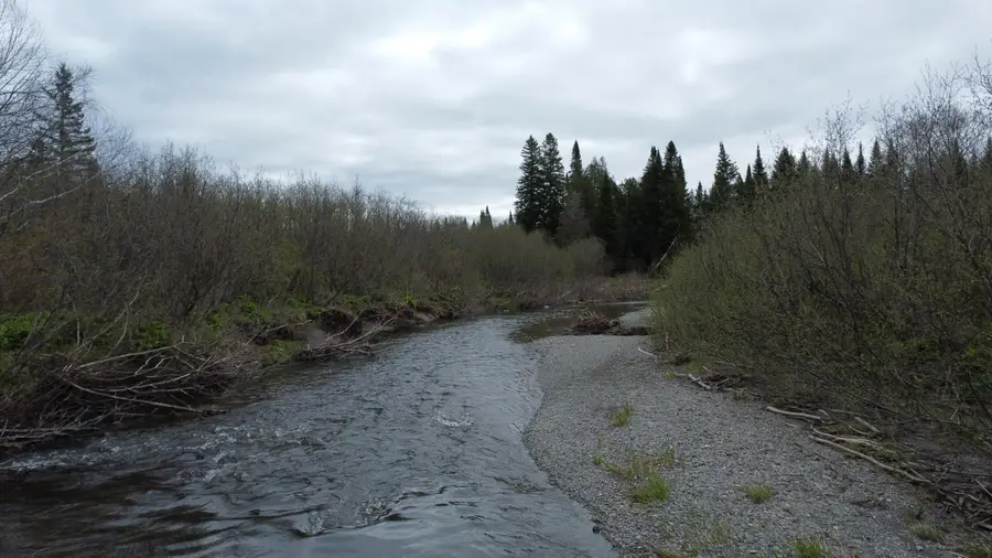 M5L15 Off Alexander Road, Van Buren, ME 04785 - #2