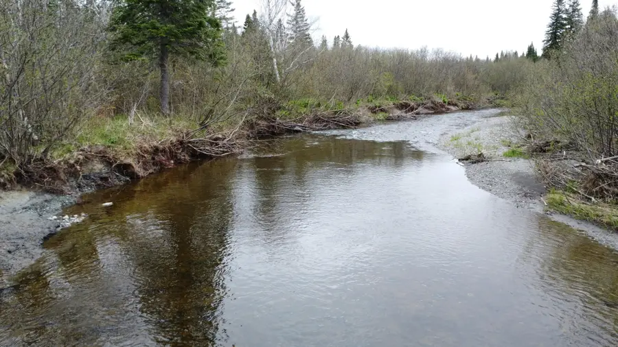 M5L15 Off Alexander Road, Van Buren, ME 04785 - #3