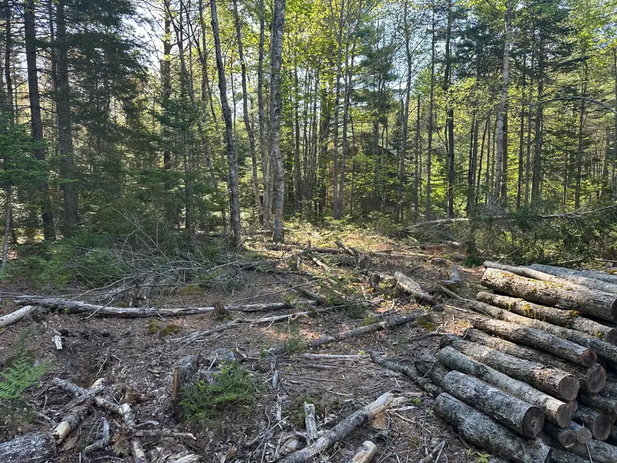 61 Gerards Trail, Blue Hill, ME 04614 - #3