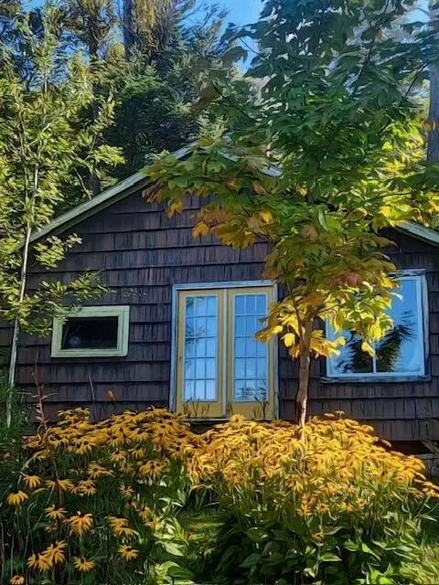 76 N Birch Lane, Winterville, ME 04739 - #1