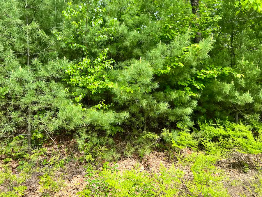 33 Serenity Lane, Topsham, ME 04086 - #2