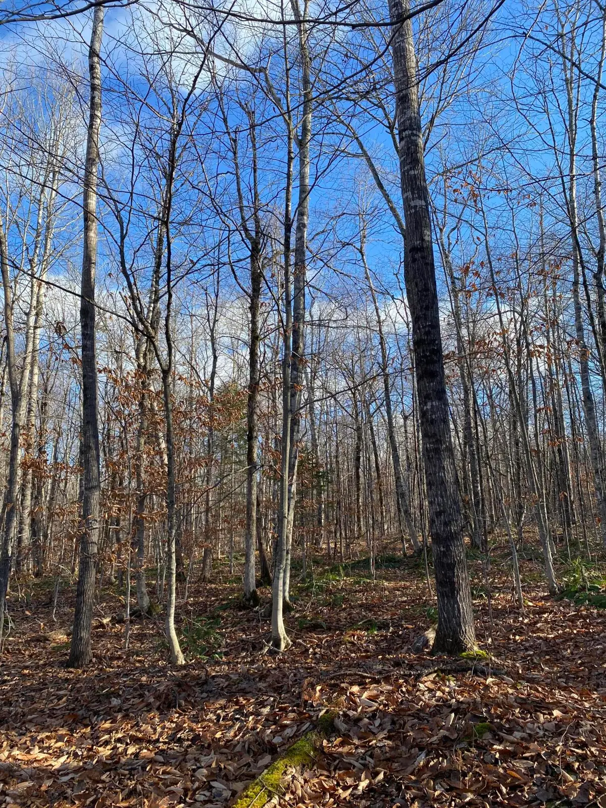 Lot 023 Pleasant Ridge Road, Dexter, ME 04930 - #1