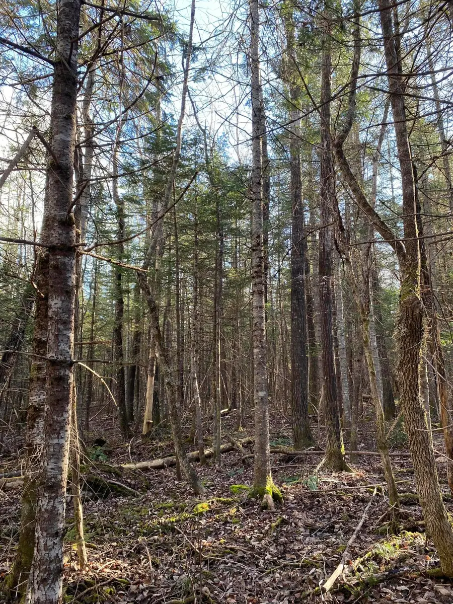 Lot 023 Pleasant Ridge Road, Dexter, ME 04930 - #3
