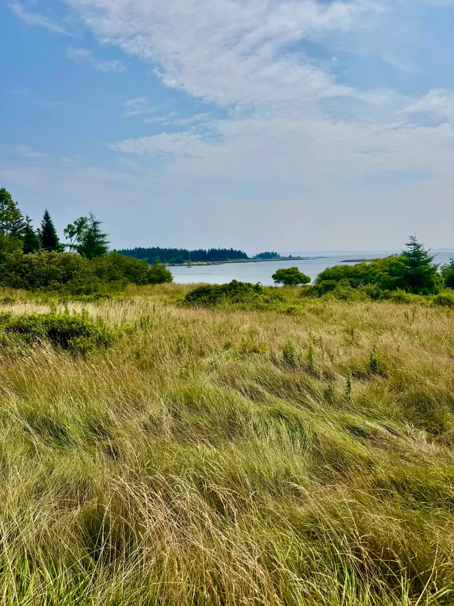 Lot #5 George Wright Road, Vinalhaven, ME 04863 - #3